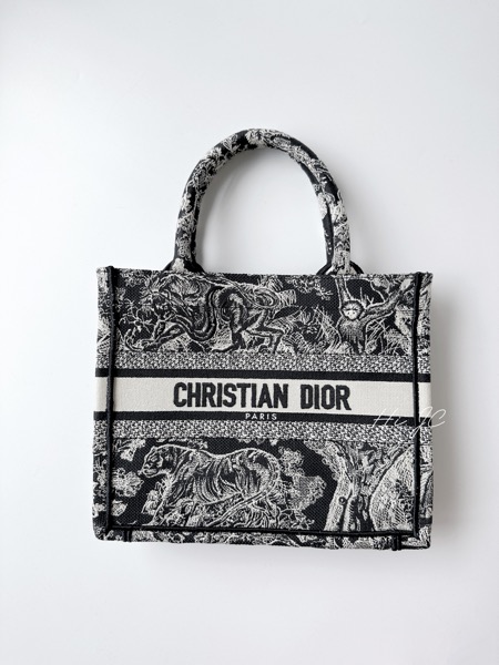 Dior Book Tote 開箱：細節與質感大揭密、到底值不值得入手？