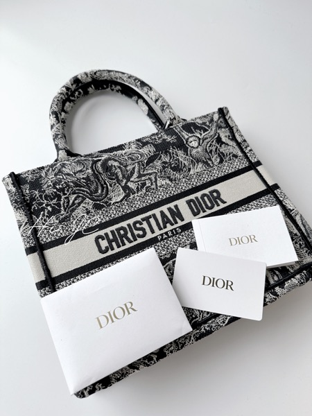 Dior Book Tote 開箱：細節與質感大揭密、到底值不值得入手？